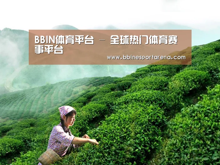 BBIN体育平台 - 全球热门体育赛事平台